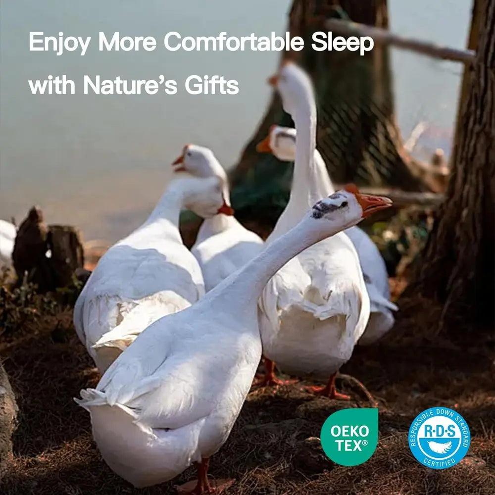 All Season Goose Down Fiber Comforter Cotton Duvet Insert