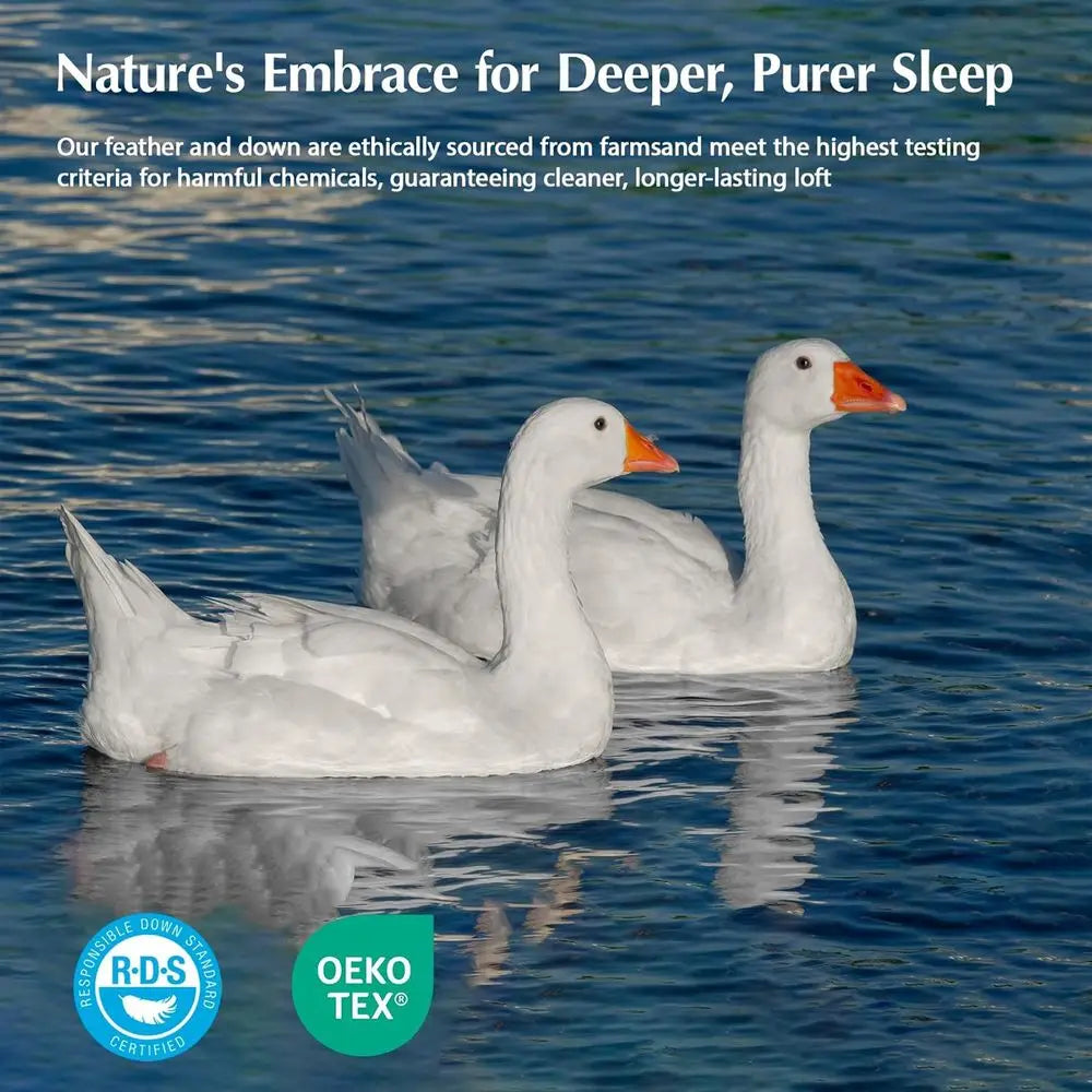 Feather Down Fiber Comforter Insert All Season Hotel Luxury Bedding