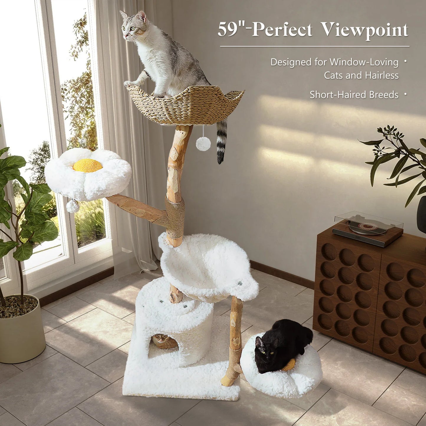 PEQULTICN Solid Wood Cat Tree Five Tier Modern Cat Tower
