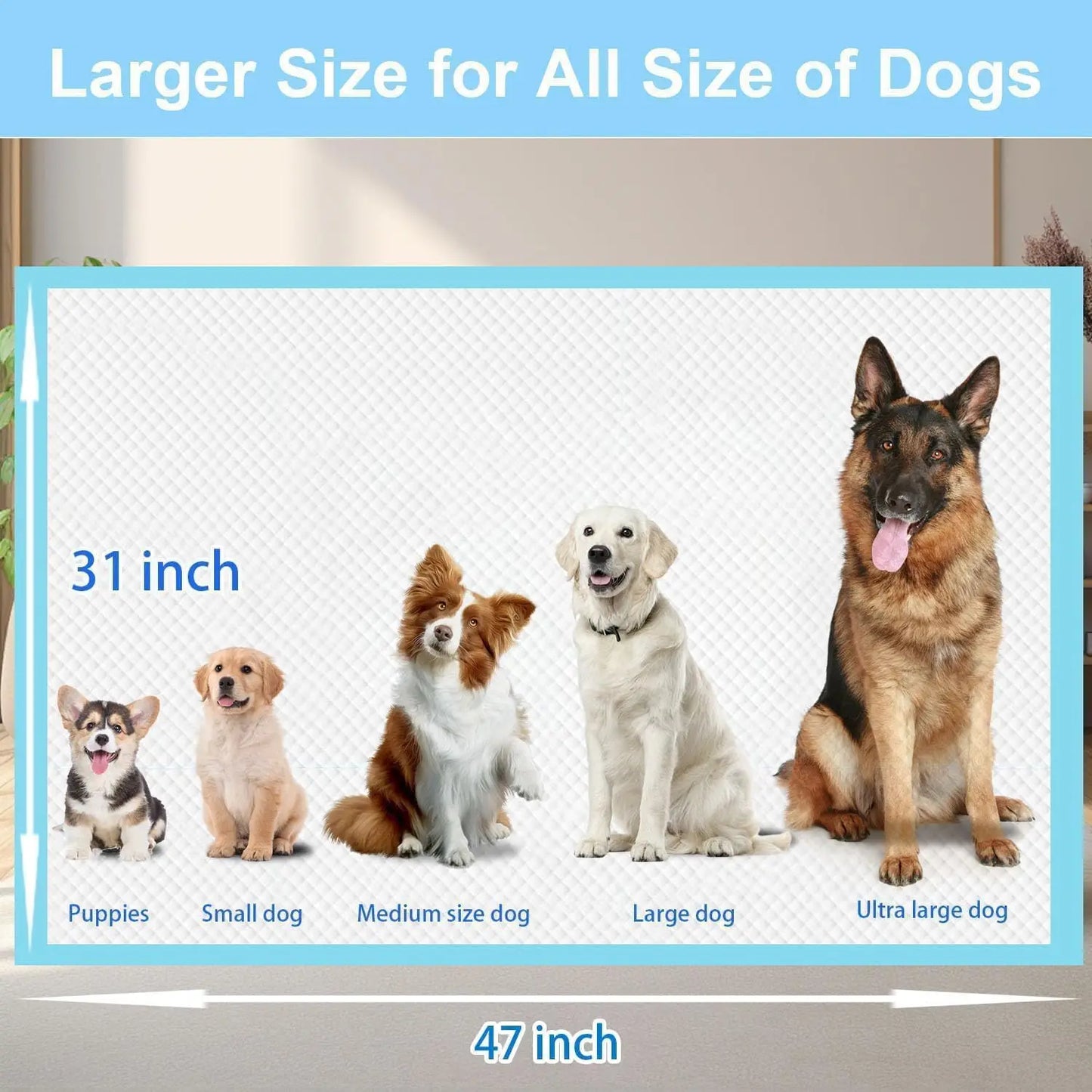 XXXL Puppy Pee Pads 31x47 100 Count, Leak-Proof Super Absorbent Disposable Training Pads for Dogs Cats Rabbits