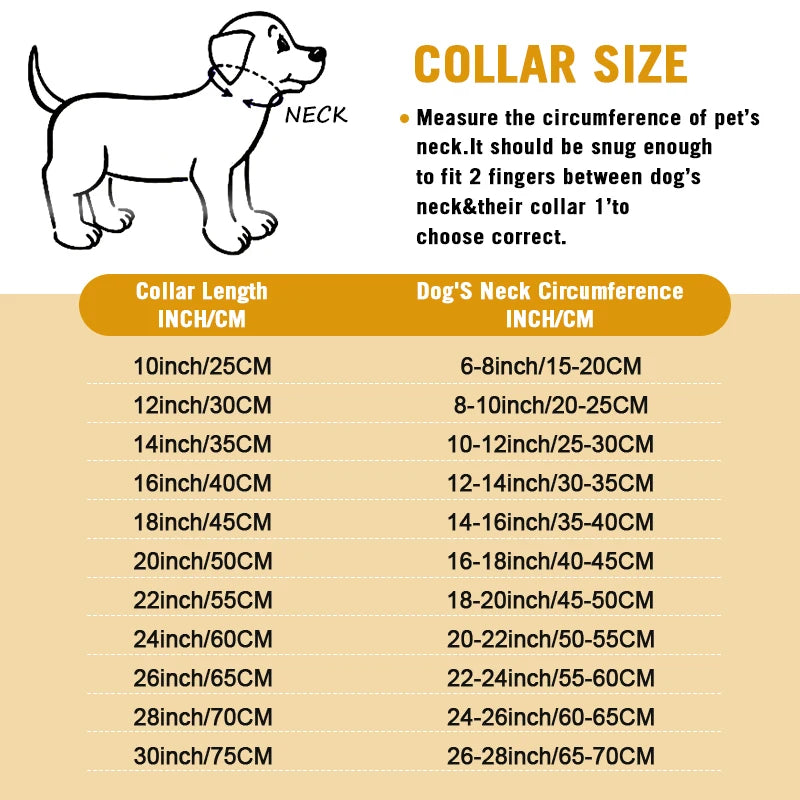 Stainless Steel Chain Collar for Dogs Training and Walking