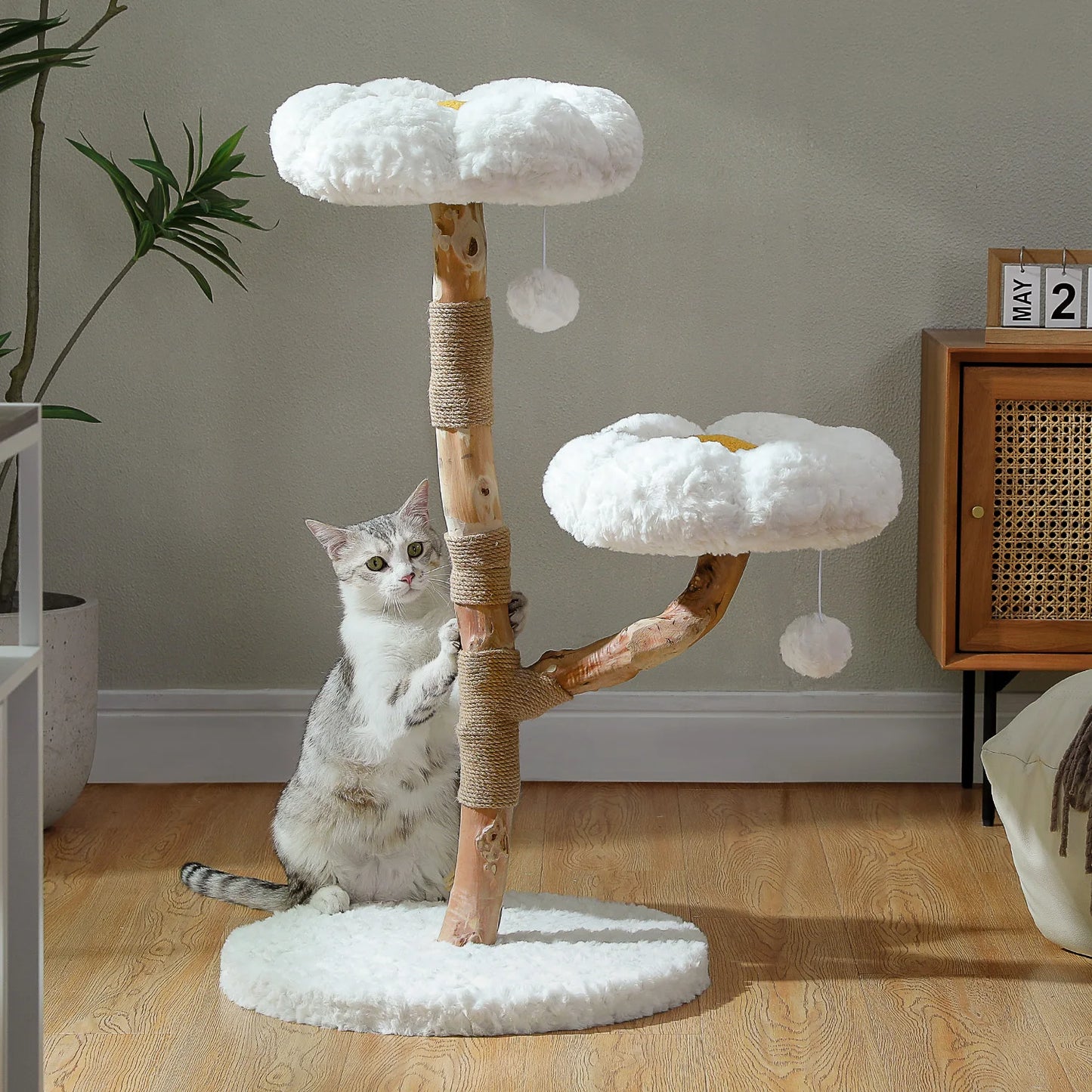 PEQULTICN Solid Wood Cat Tree Five Tier Modern Cat Tower