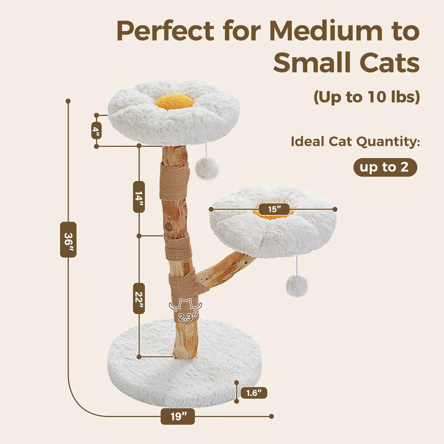 PEQULTICN Solid Wood Cat Tree Five Tier Modern Cat Tower