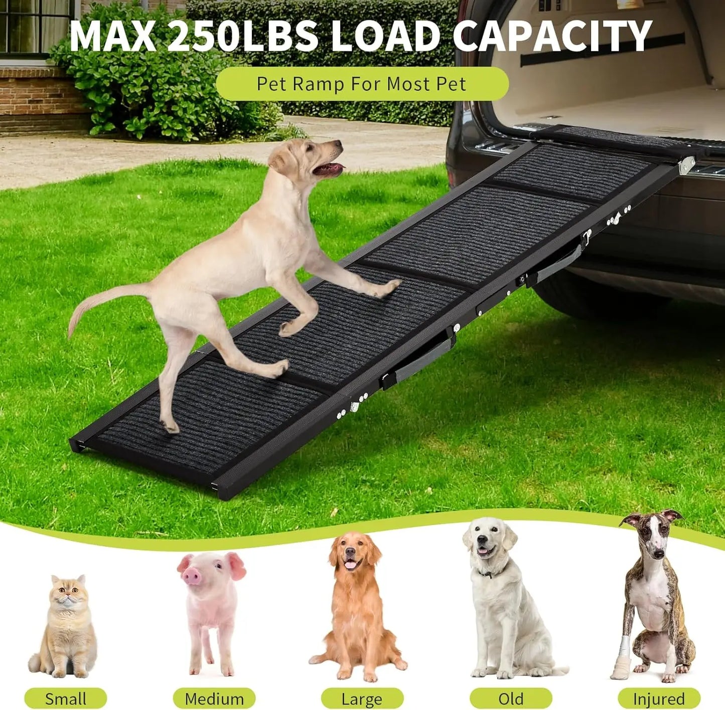 Twister.CK Dog Ramp For Cars Quad Fold Non Slip Portable Ramp
