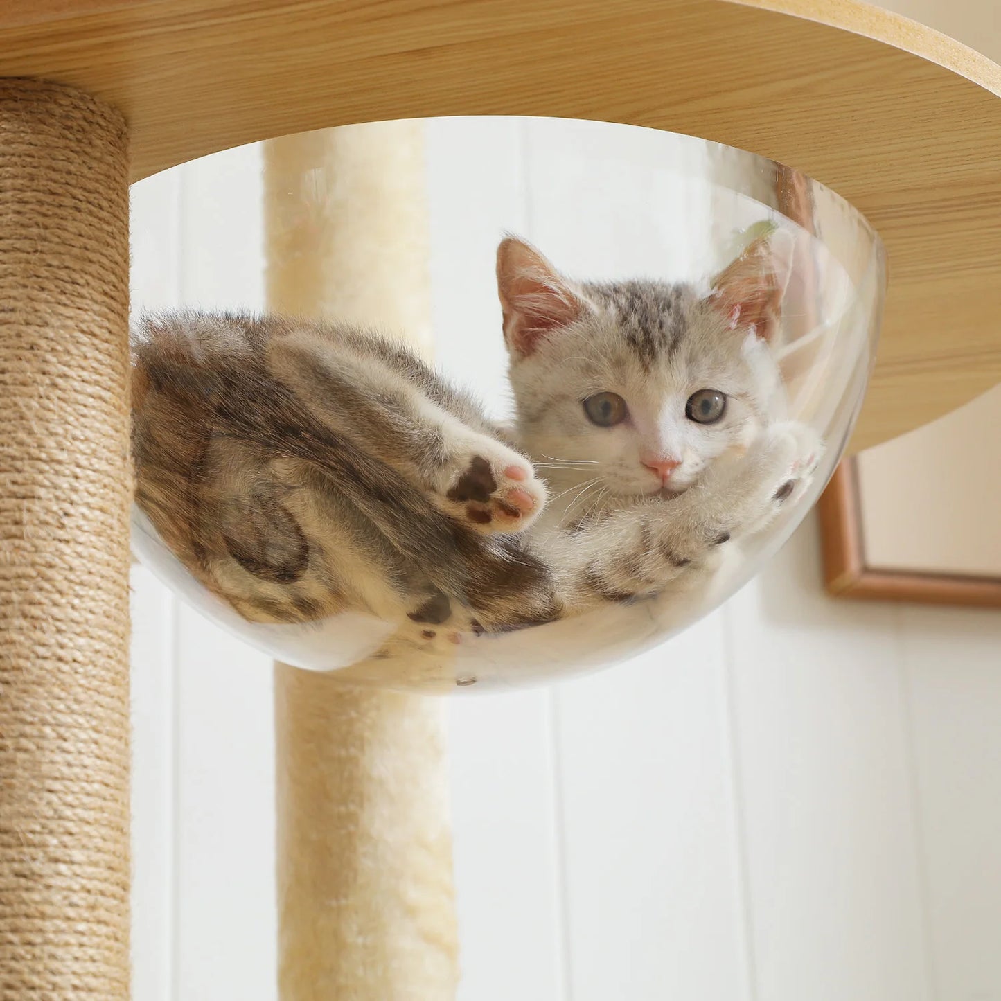 Multi-Level Cat Tree Indoor Wood Tower With Scratching Posts