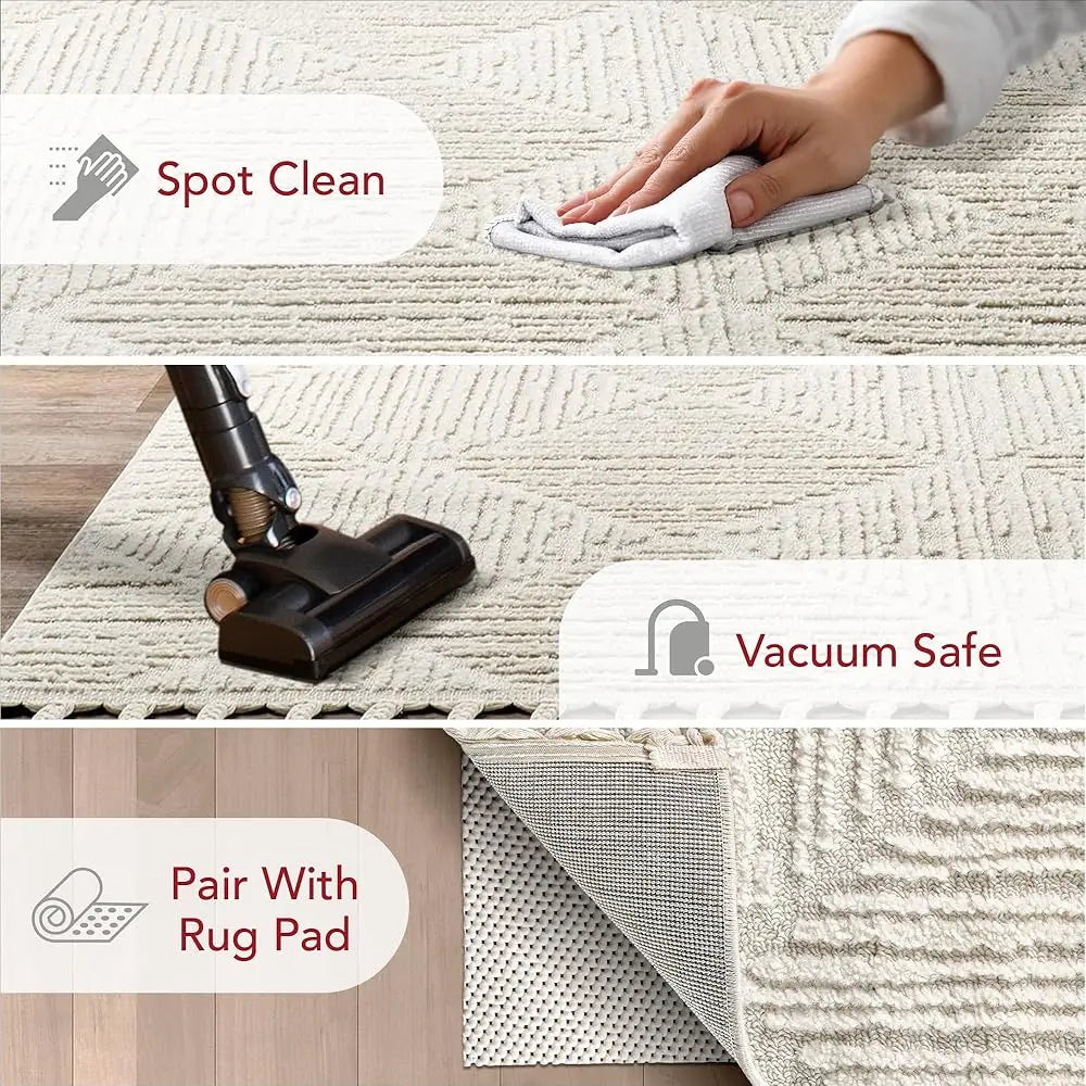 DIXSG Kerry Textured Geometric Tasseled Area Rug For Living Rooms