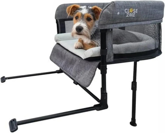 Elevated Pet Bed With Sides For Cats And Dogs Deluxe