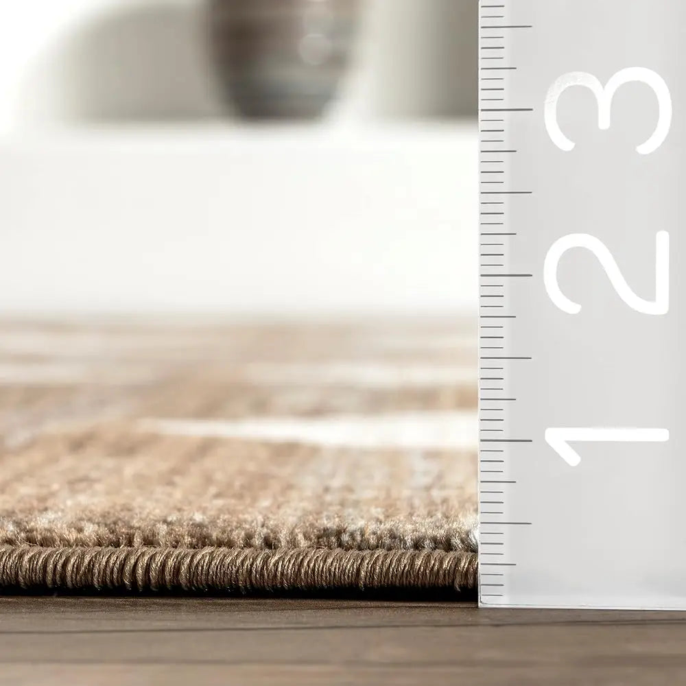 DIXSG Meline Checkered Fringe Area Rug for Living Room