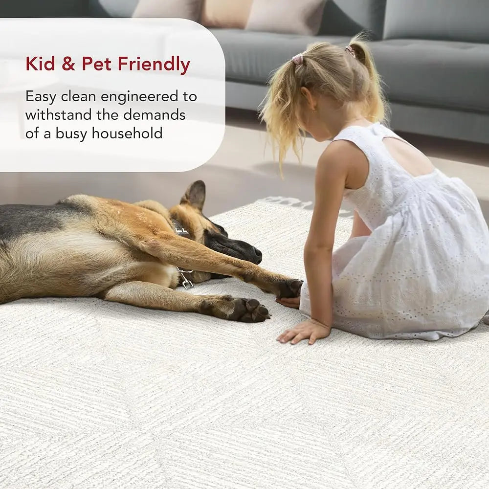 DIXSG Kerry Textured Geometric Tasseled Area Rug For Living Rooms