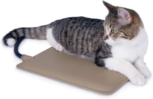 Waterproof Heated Cat Mat for Indoor and Outdoor Use